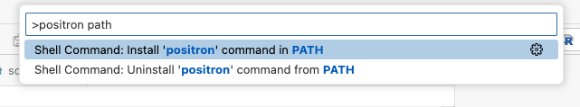 Command Palette showing 'positron path' search with options to install or uninstall the positron command in PATH.